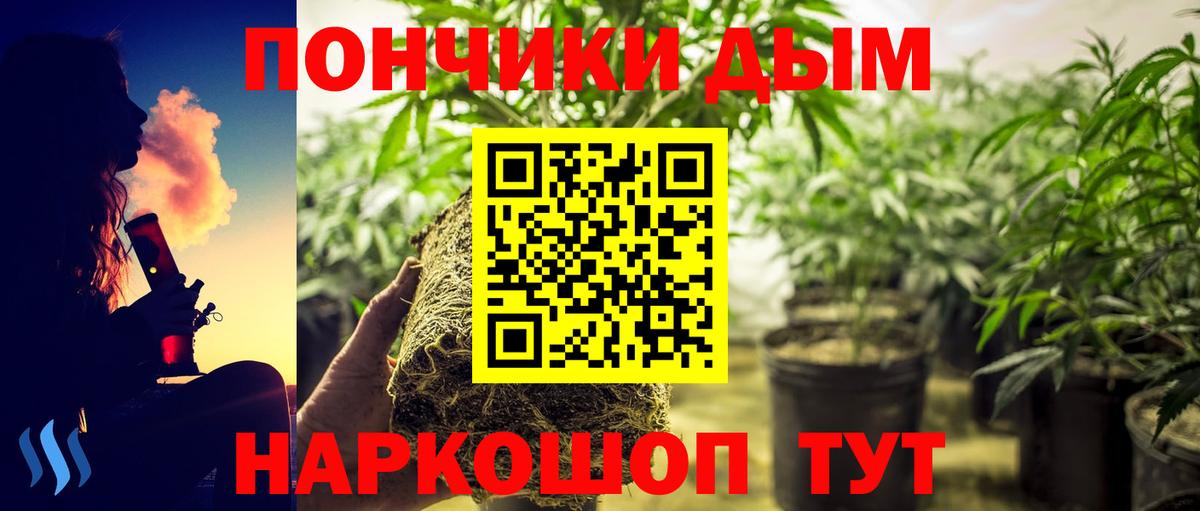 Махачкала  МАРИХУАНА VHQ  Вход с VPN  Шишки марихуана конопля  Бошки марихуана Ganja 